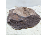 Камень натуральный UDeco Lava Wood M для аквариумов и террариумов, "Лавовое дерево", 1-2кг, шт.