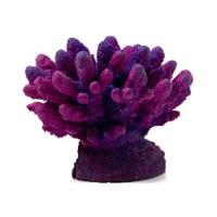 Без-имени-1 Без-имени-1