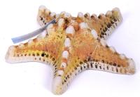 flGw-cMZdzU flGw-cMZdzU