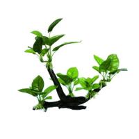 c9a73aa8174a1f4025cb9f5835b89a68