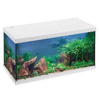 cd7a670a0a2a11e7a6660cc47a1387e7jpg