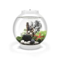 2dedafa6-4cbe-11e9-83f7-0cc47a1387e6