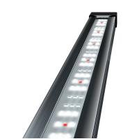 00002983 00002983