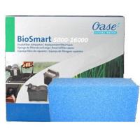 BioSmart