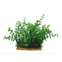 f0b7b95cf91211e6a6660cc47a1387e7jpg