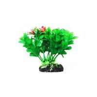 Без названия (1)