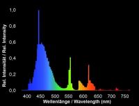 3_aquablue-coral_spectrum 3_aquablue-coral_spectrum