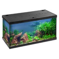 cd7a670c0a2a11e7a6660cc47a1387e7jpg