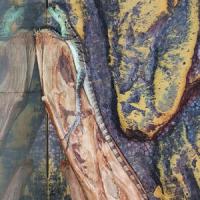 CBBasiliscusplumifronsS CBBasiliscusplumifronsS