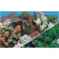 J01-J03-40 J01-J03-40