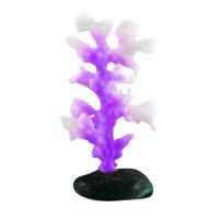 AM311074-P(1) AM311074-P(1)