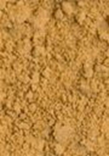 photo1_49addf35-0076-49e9-bef9-3d312e07b4c1_Image