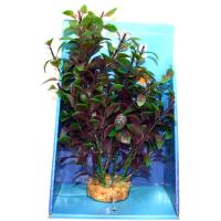 a7ea3c31f56177ab56dfa80a8f6046a6