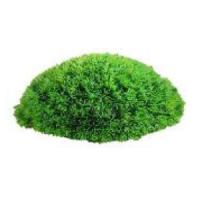 80e91651872511e6929d0cc47a1387e7jpg