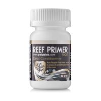 61vedXPqRSL._AC_SX466_