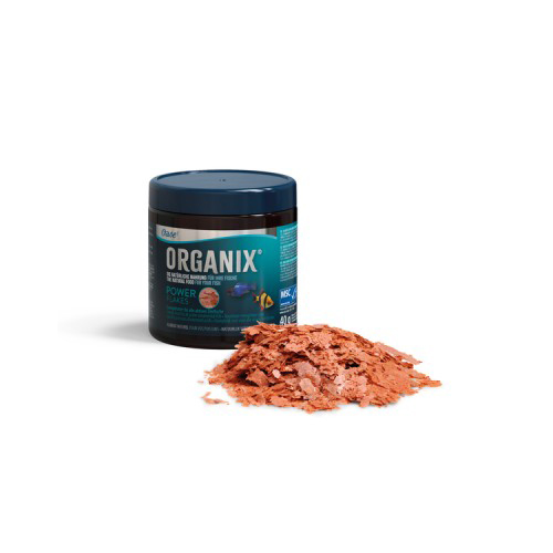 617_600ad7372b5bd-800x800