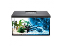 Аквариум прямоугольный Aquael LEDDY 60 XL DAY&NIGHT 2.0, 72л, 61х31х44см с оборудованием, черный