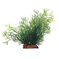 ddf683f5f91211e6a6660cc47a1387e7jpg