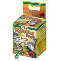 JBLReptilDayHalogen35