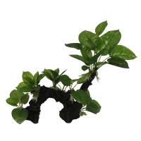 aebf825506534110ff17dbc76ab6614c