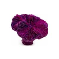 Без-имени-1 Без-имени-1