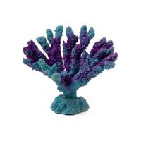 Без-имени-1 Без-имени-1