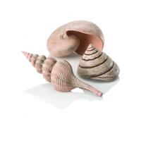 biorb-sea-shell-set-natural-3-pack biorb-sea-shell-set-natural-3-pack