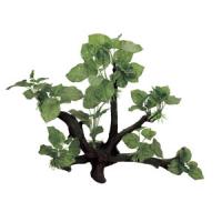 25b66146fe8911e6a6660cc47a1387e7jpg