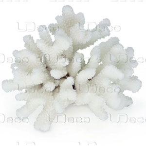 UDecoFingerCoralS1