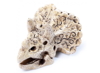 Грот Laguna "Череп трицератопса"