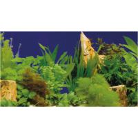 08-31122(1) 08-31122(1)