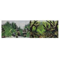 fon_dlya_akvariuma_prime_dvukhstoronniy_mangrovaya_koryaga_podvodnyy_relef_60kh150sm_9098_9030_1607509550_1