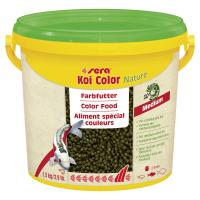 04001942070225A001bqx0101