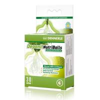 DennerleDeponitNutriBalls4