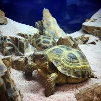 image-12-04-20-02-56 image-12-04-20-02-56