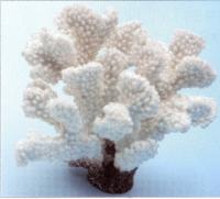 SE000008183 SE000008183