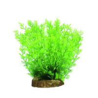 0f5b0bd5f91311e6a6660cc47a1387e7jpg