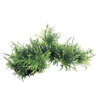 ce3e563f034b11e7a6660cc47a1387e7jpg