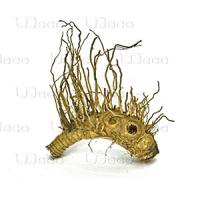 UDecoBamboohairrootS