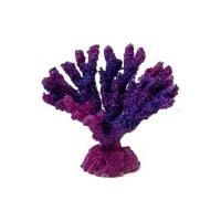 Без-имени-1 Без-имени-1