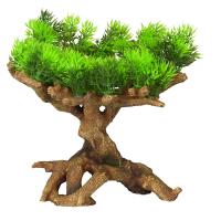 32c21535bb27cdd24c8b92ccb4657711