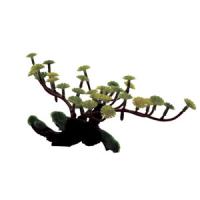 35bc7707f91111e6a6660cc47a1387e7jpg