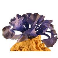 SE000004983 SE000004983