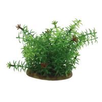 f0b7b94ff91211e6a6660cc47a1387e7jpg