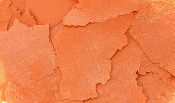 photo1_034a2afc-2d04-4847-8db2-66178aadc9e3_Image