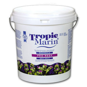 cea7b486df8311e4b76d0cc47a1387e6jpg