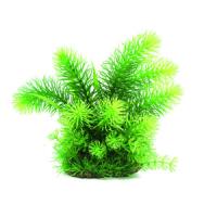 0f5b0bccf91311e6a6660cc47a1387e7jpg