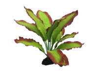 Растение шелковое Эхинодорус Розеа 13см