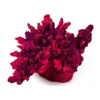 Без-имени-1 Без-имени-1