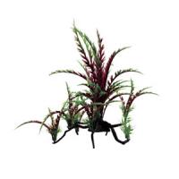 35bc76faf91111e6a6660cc47a1387e7jpg